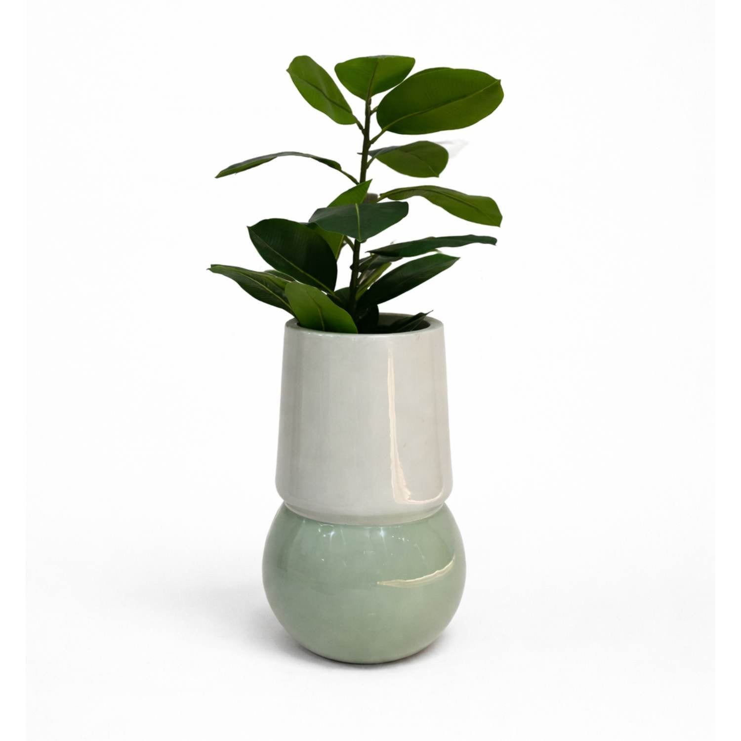 LUMA PLANTER
