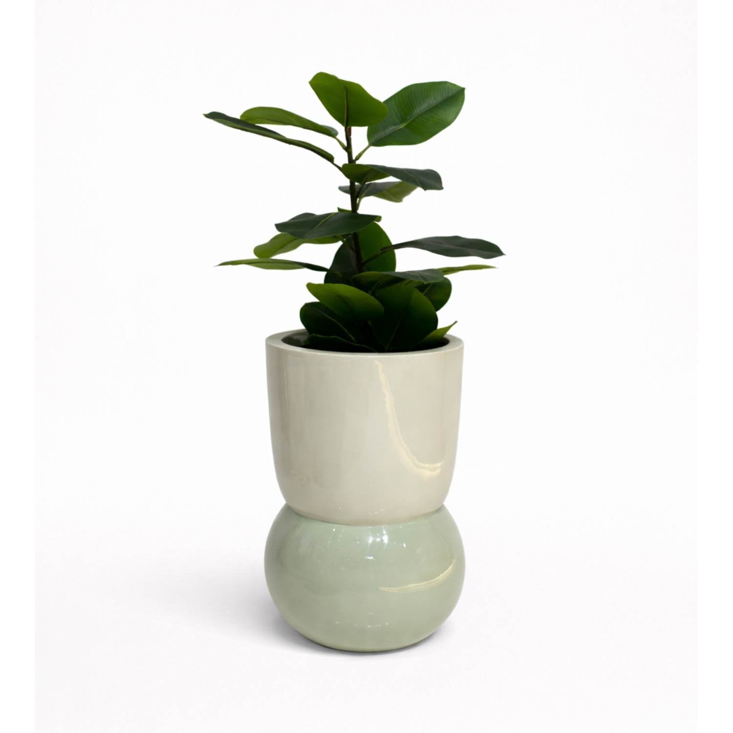 Bubble Base Planters