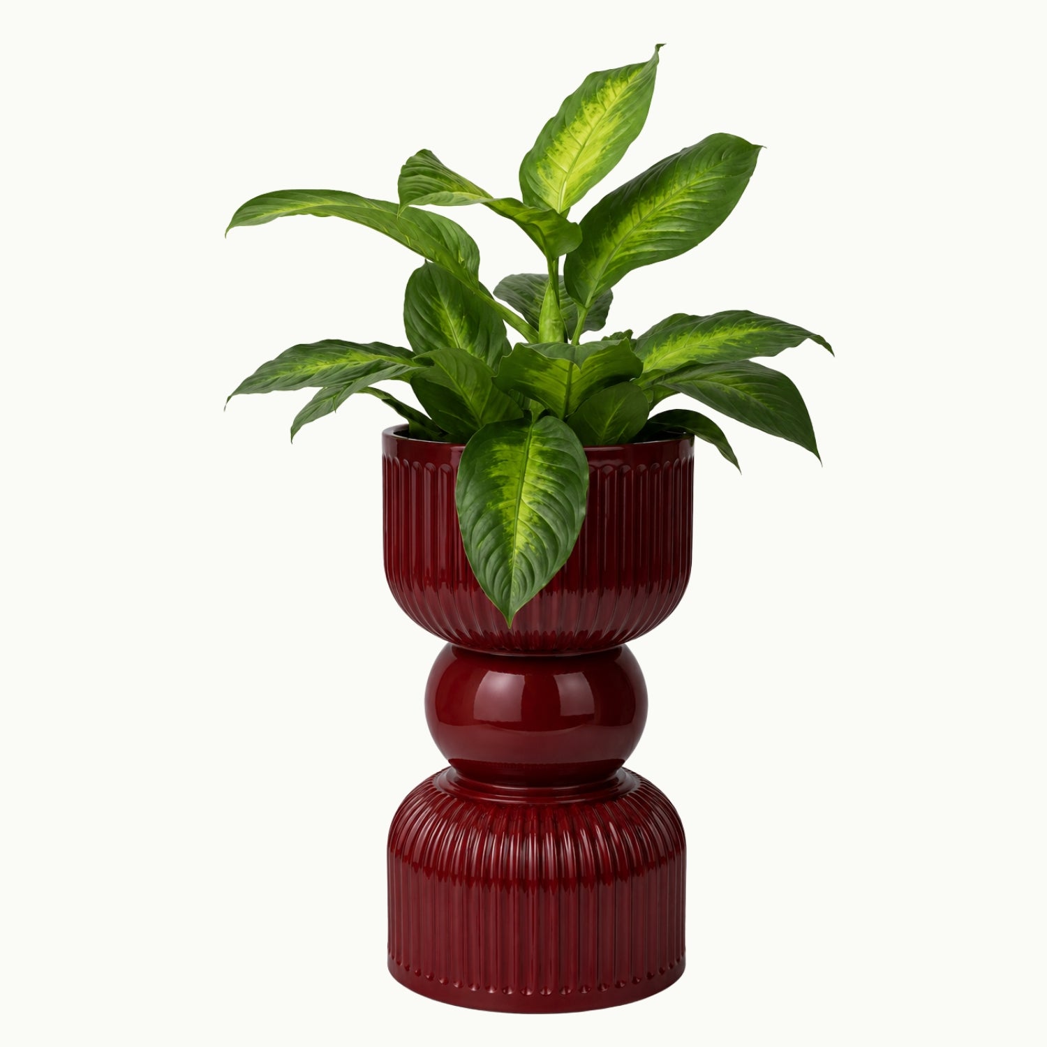 Pop Planter- Cherry
