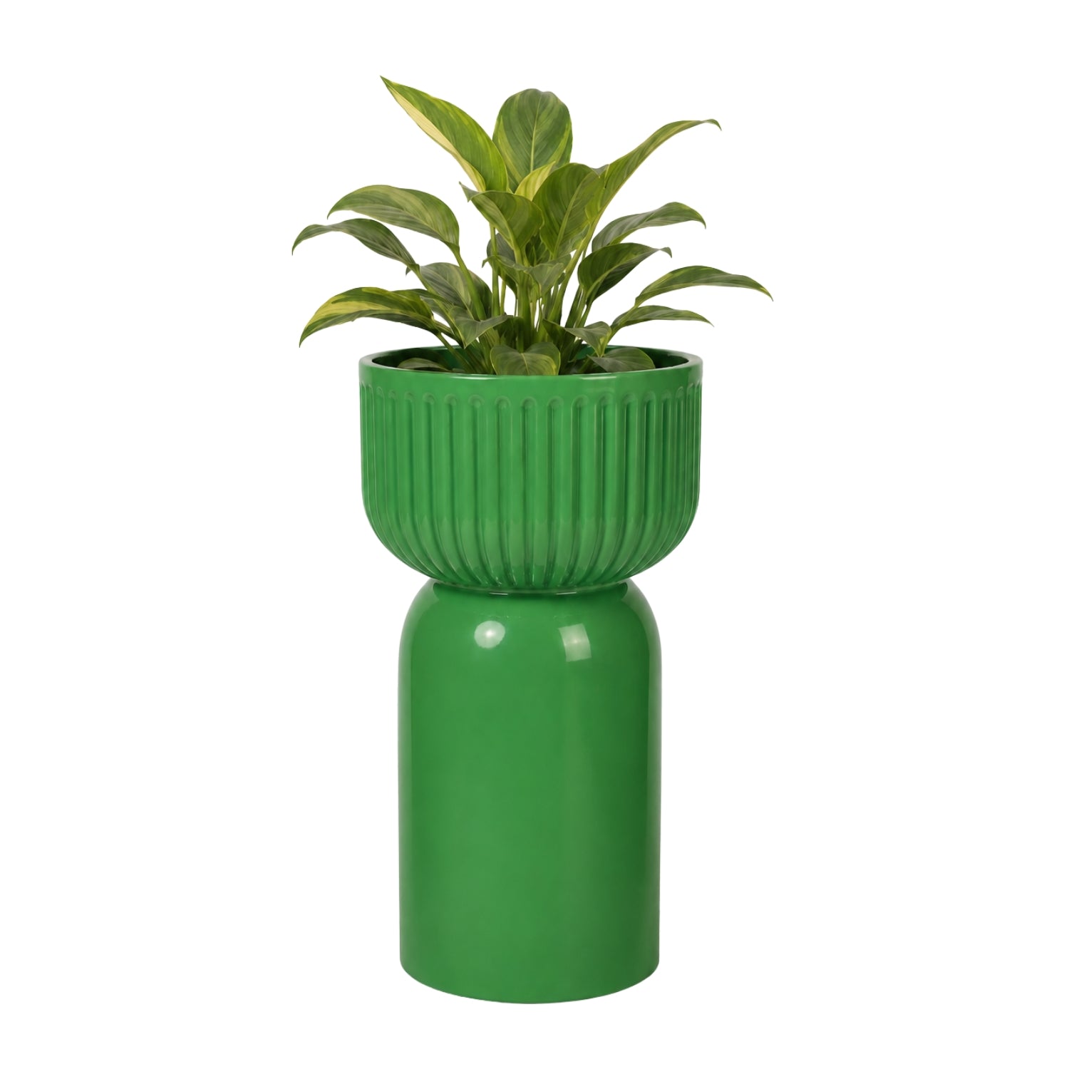 Pop Planter- Lush