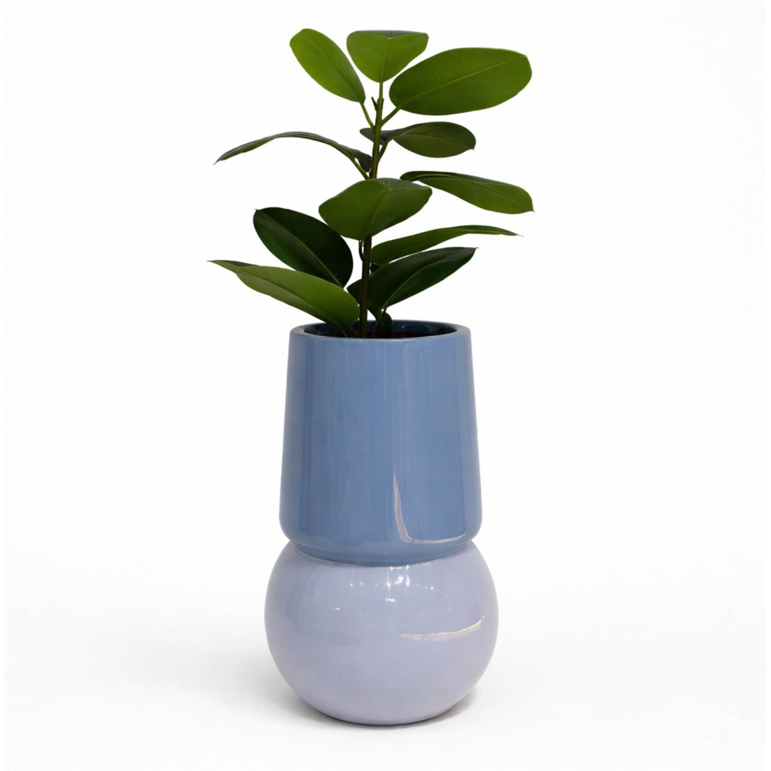 LUMA PLANTER