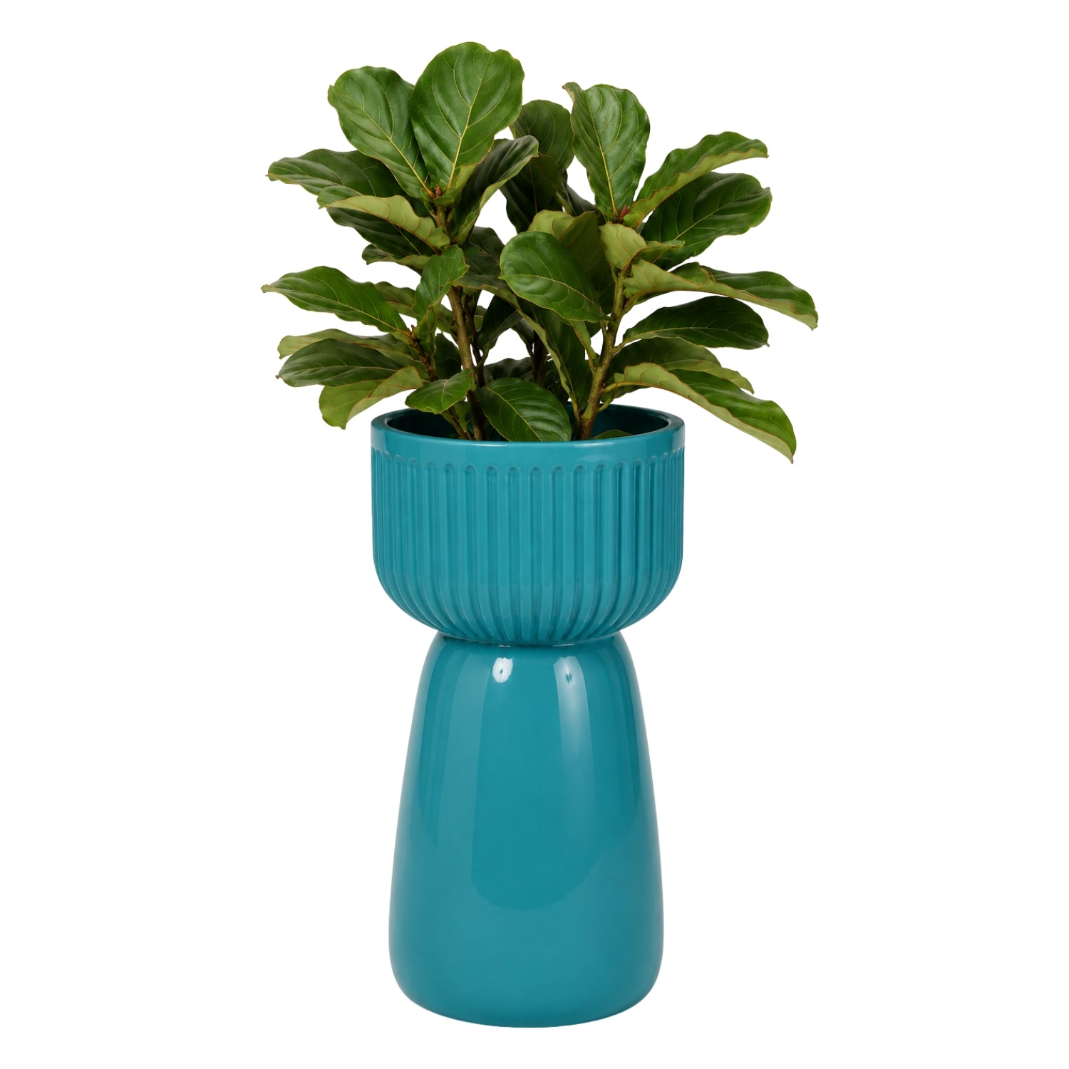 Pop Planter- Aqua